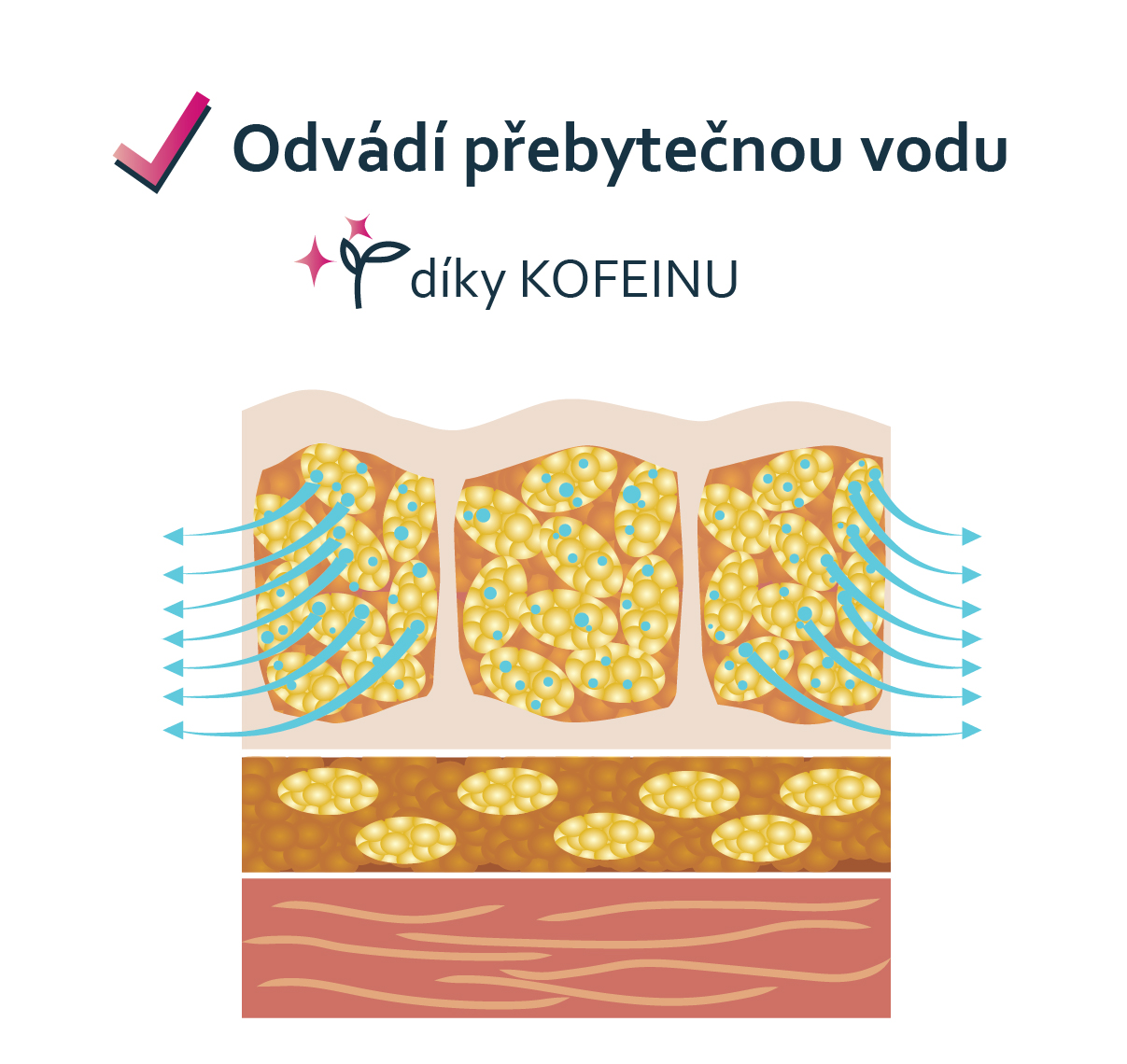 efekty_odvadivodu
